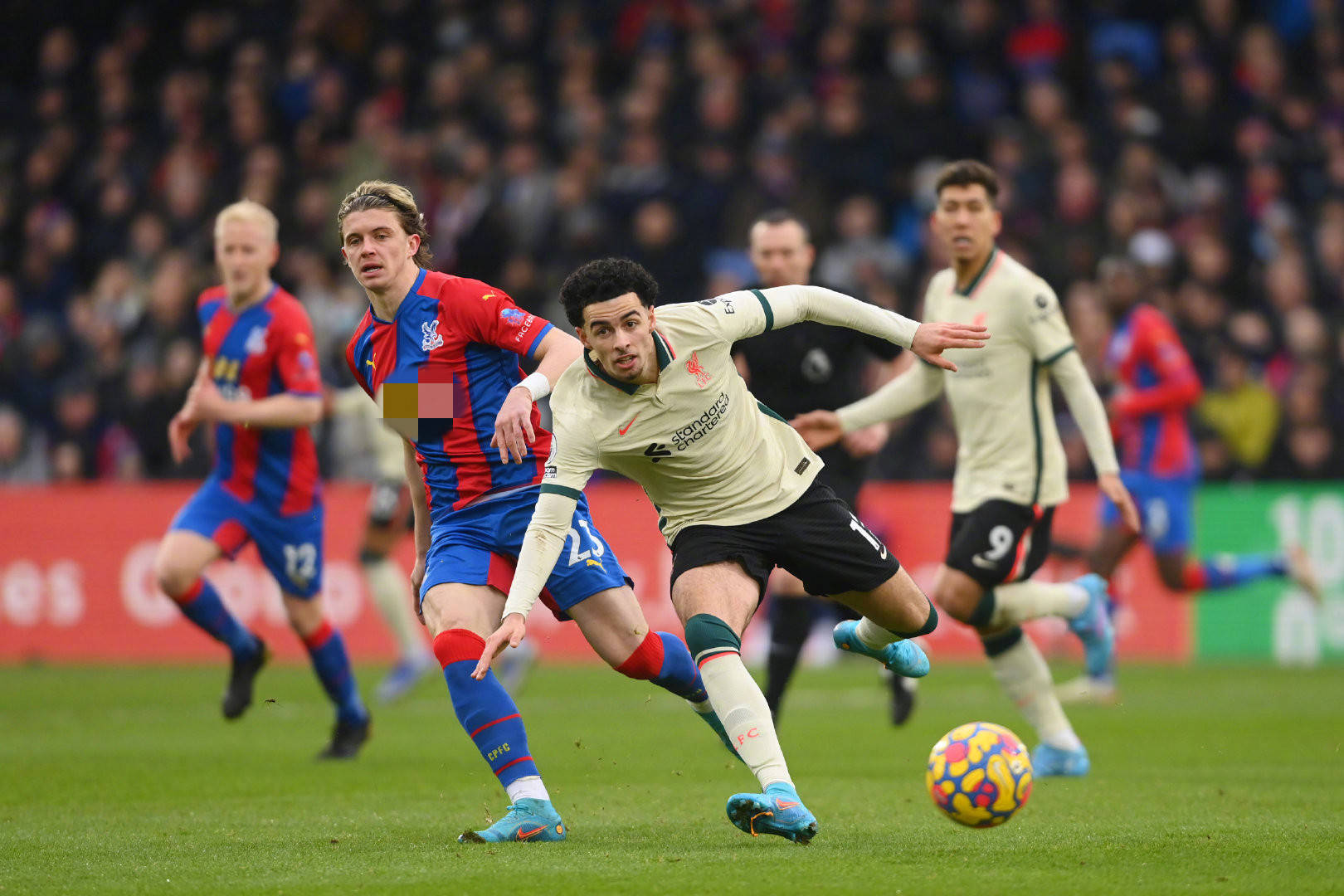 纷纷效仿 纷纷效仿