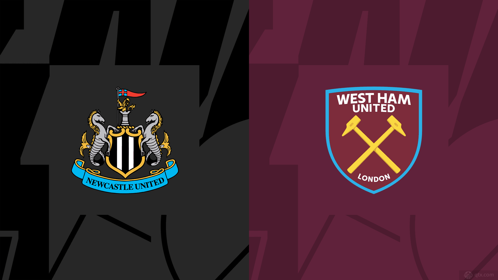 园的忠诚球 园的忠诚球